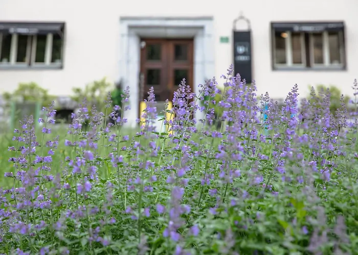 Urban Boutique Center فندق